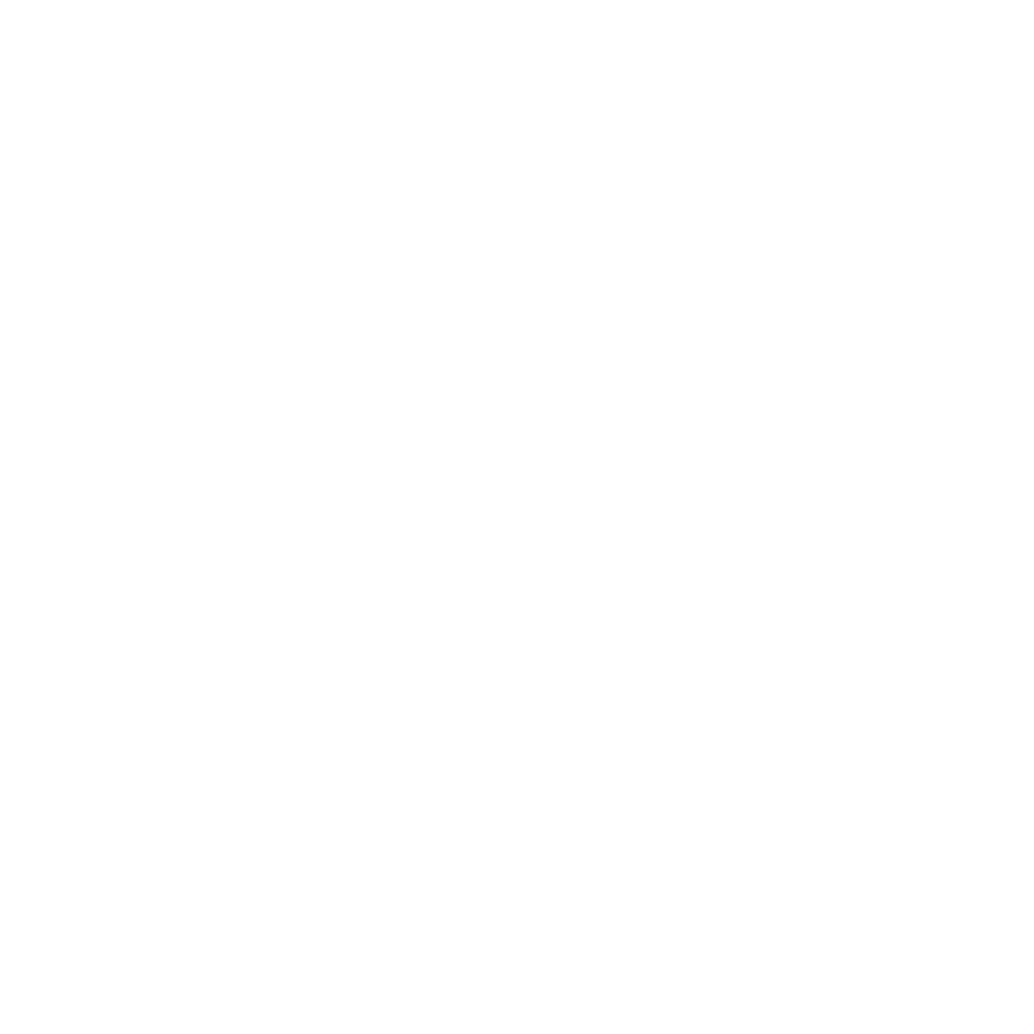 Animated visual representation
